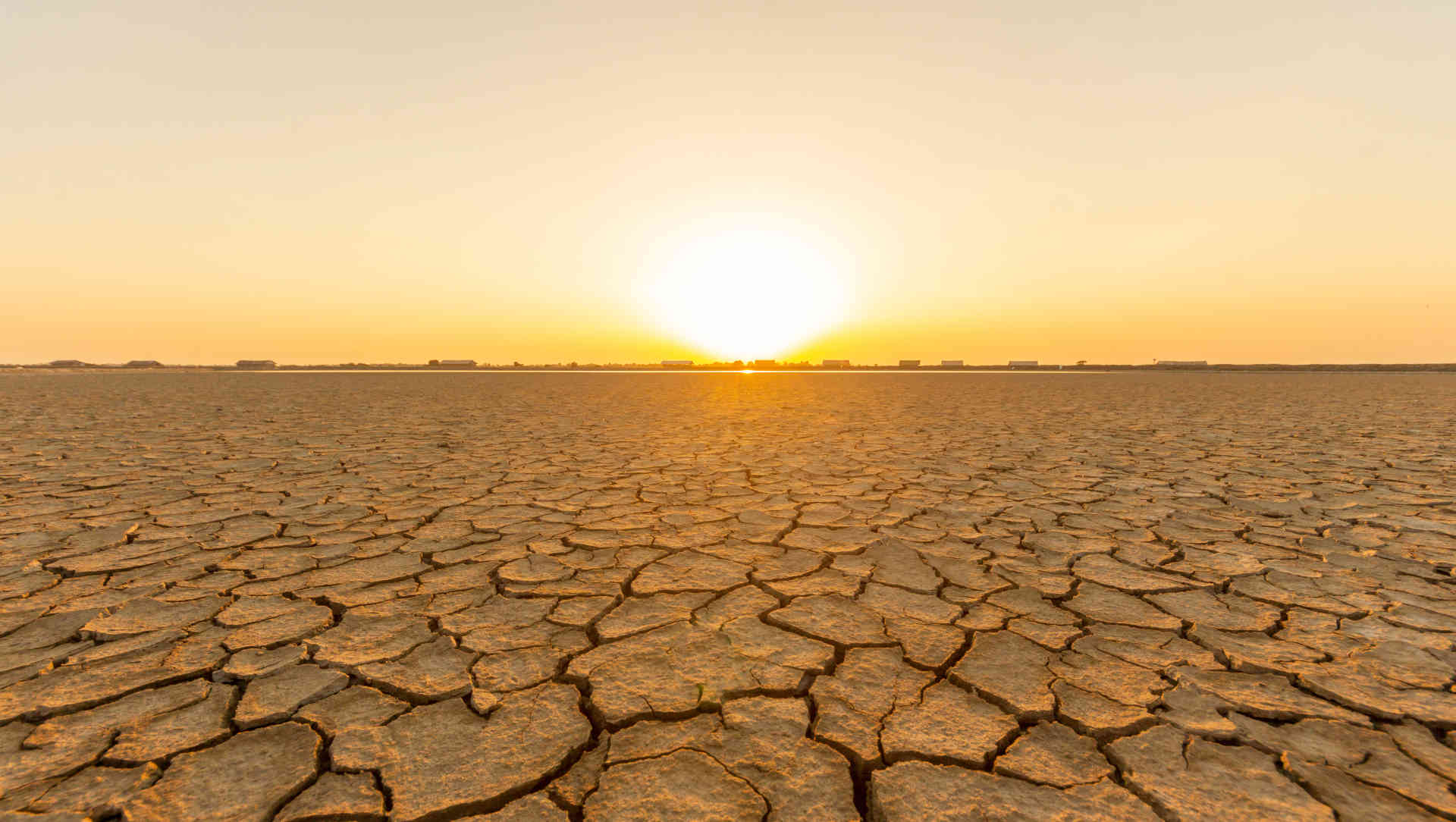 Barren, dry land