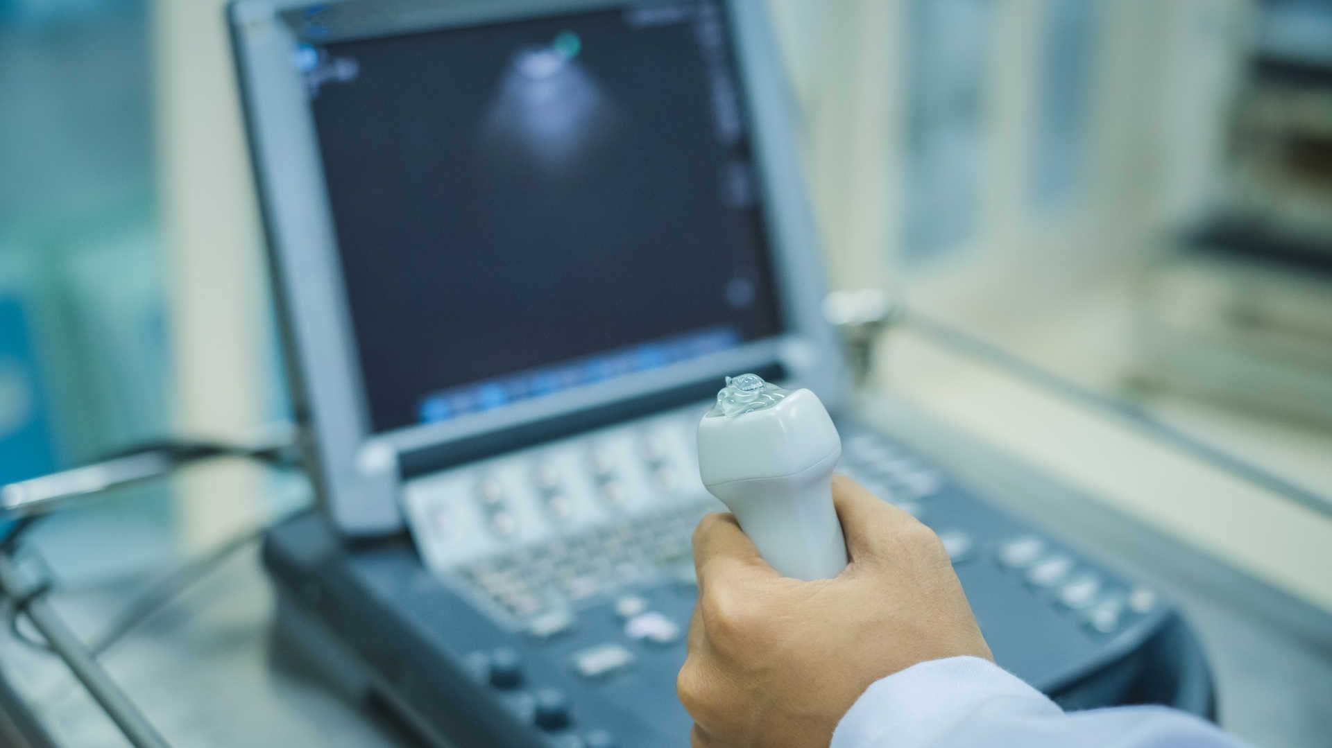 Person holding an echo probe